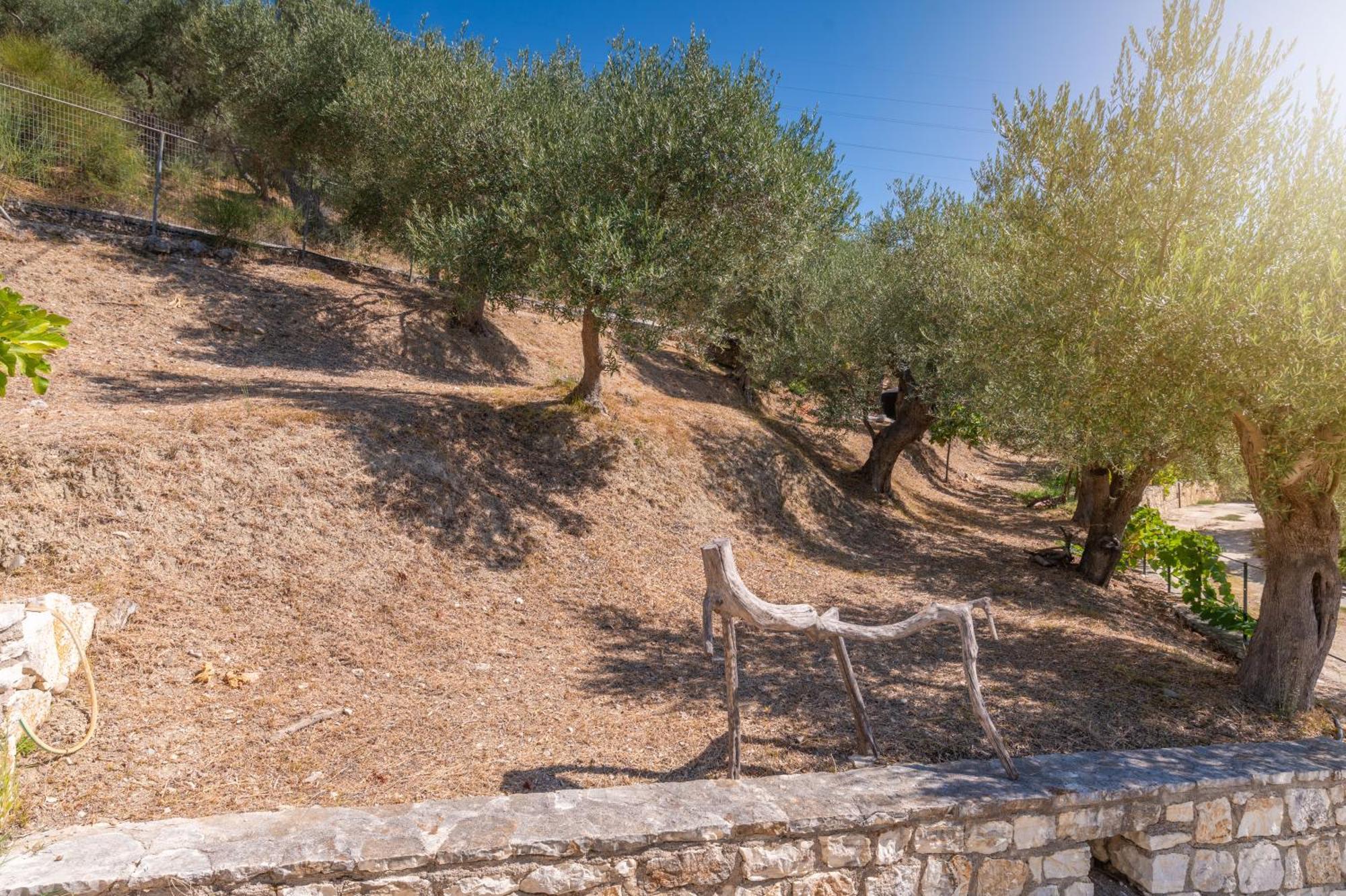 Liodentro - Olea Villa Platariá Eksteriør bilde