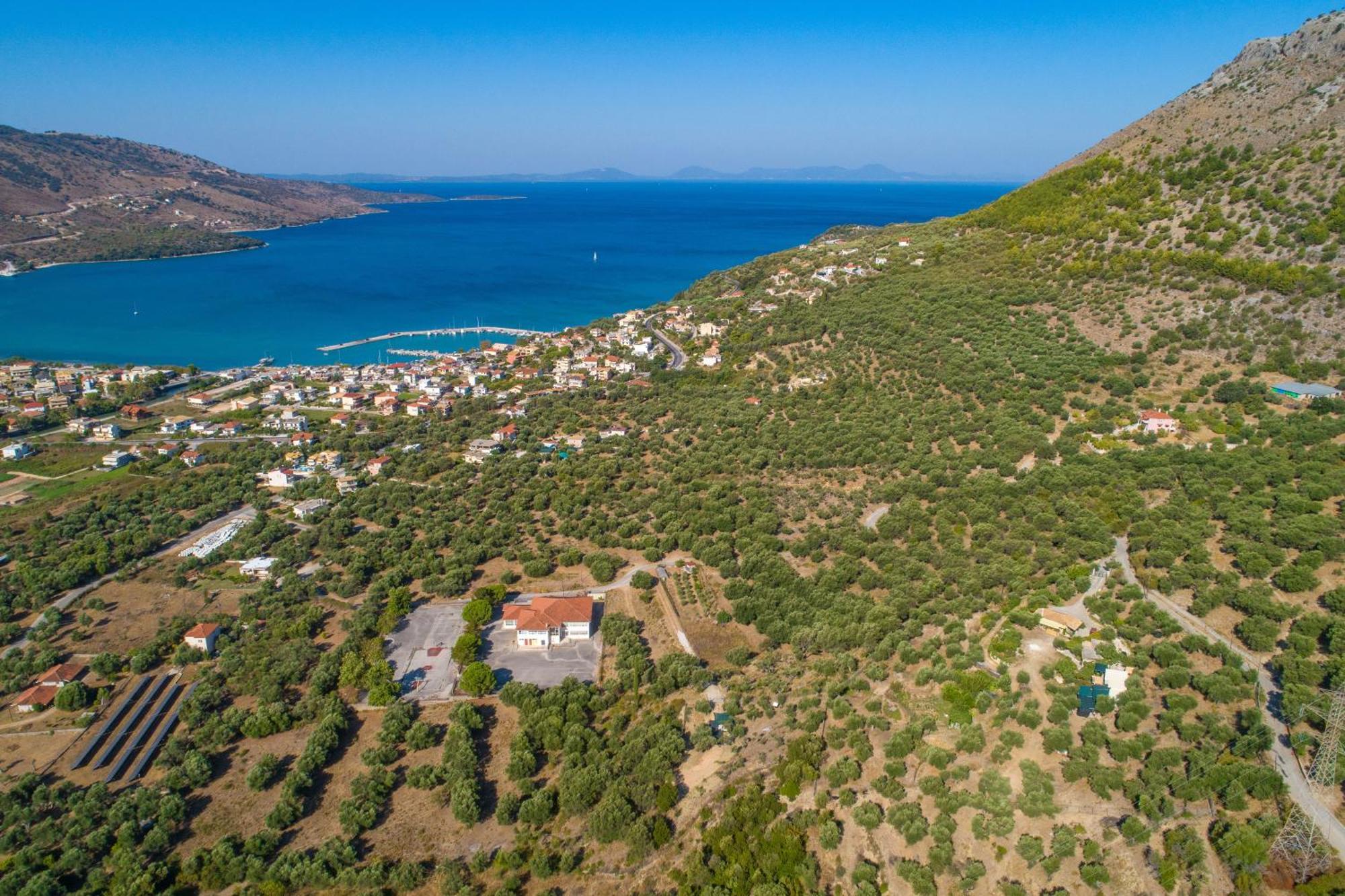 Liodentro - Olea Villa Platariá Eksteriør bilde