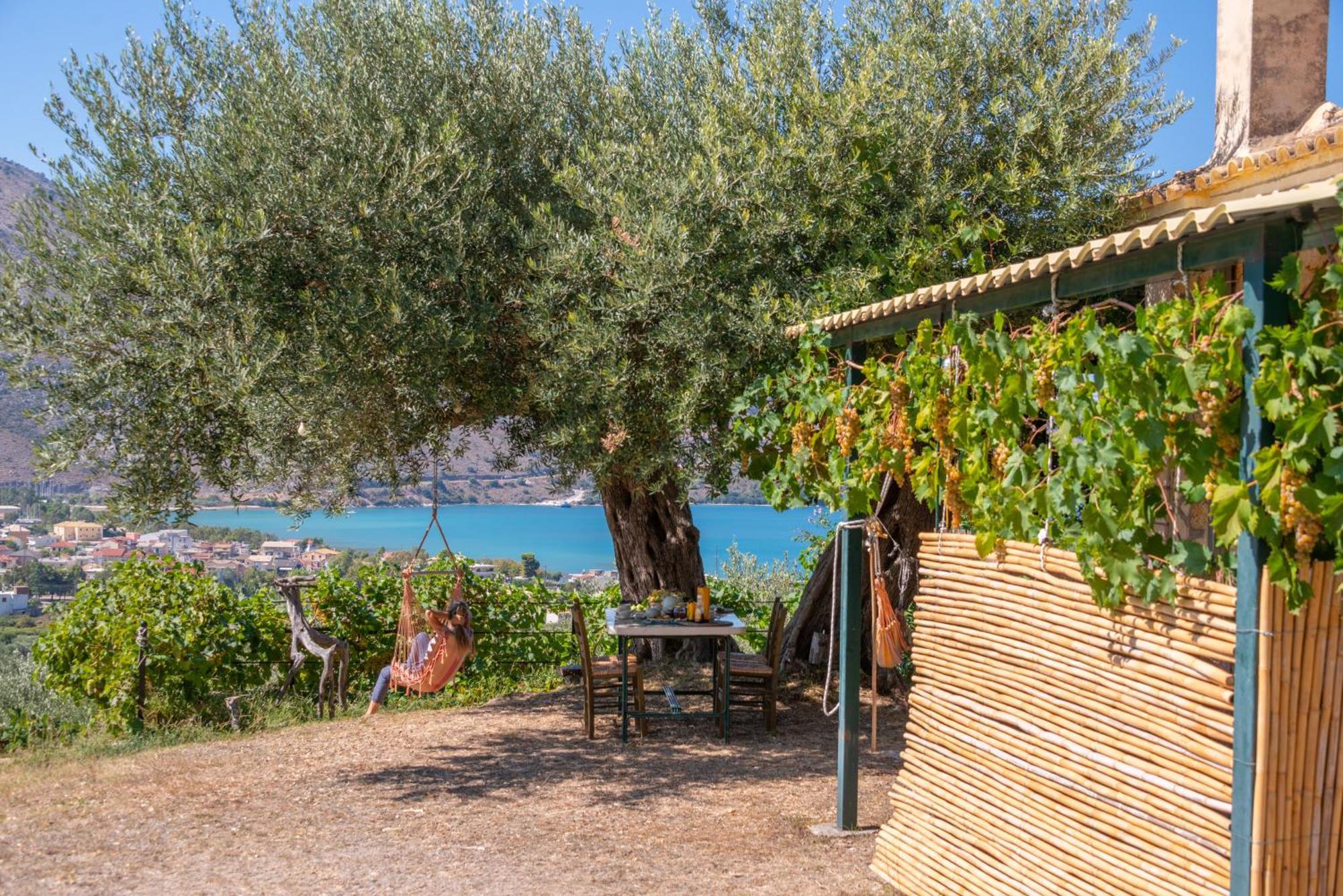 Liodentro - Olea Villa Platariá Eksteriør bilde