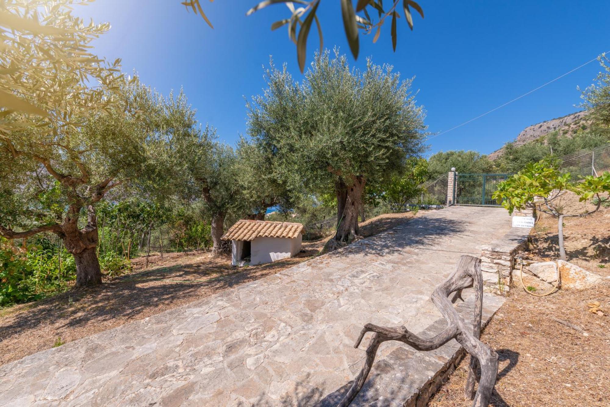 Liodentro - Olea Villa Platariá Eksteriør bilde